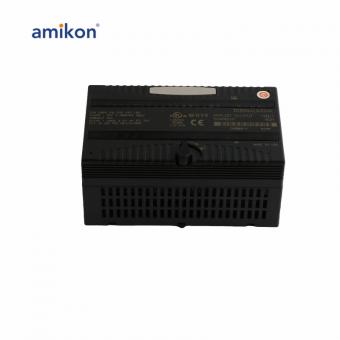 IC200ALG320