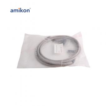 FS-SICC-0001/L10