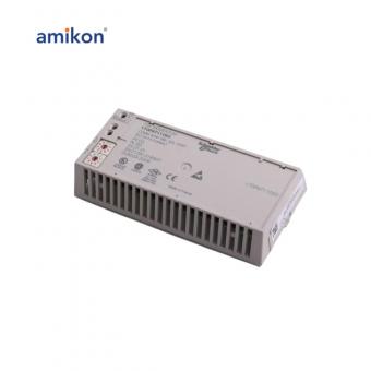 170PNT11020