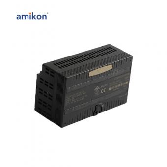 IC200ALG240