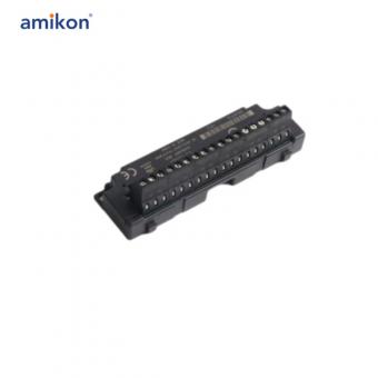 IC200TBM002