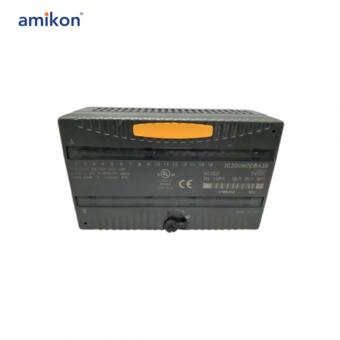 IC200MDD843