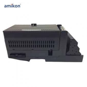 IC200ALG262G