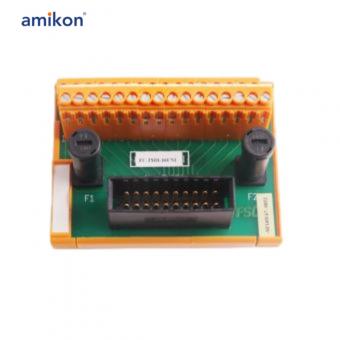 FC-TSDO-0824C