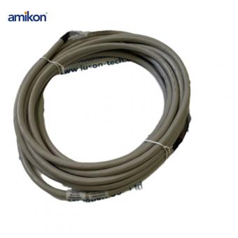 FS-SICC-0001/L20