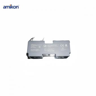 KL4502X1EA1 12P5448