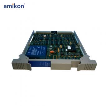 51303979-500