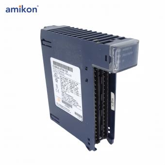 IC695ALG704-CB