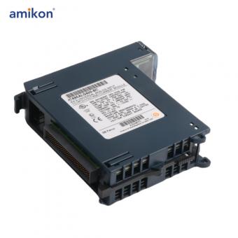 IC695ALG608