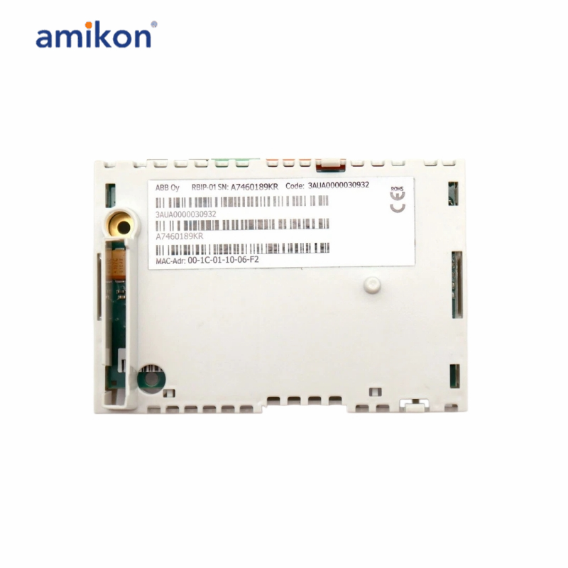 RBIP-01 3AUA0000030932