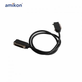 IC693CBL300