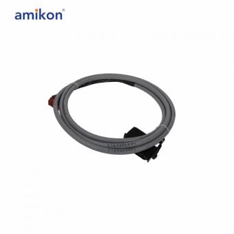 NKLS11-10