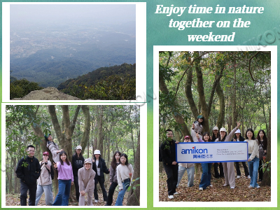 Rising to the Top: A Comprehensive Record of the Company's Mountain Climbing Team Building Activities